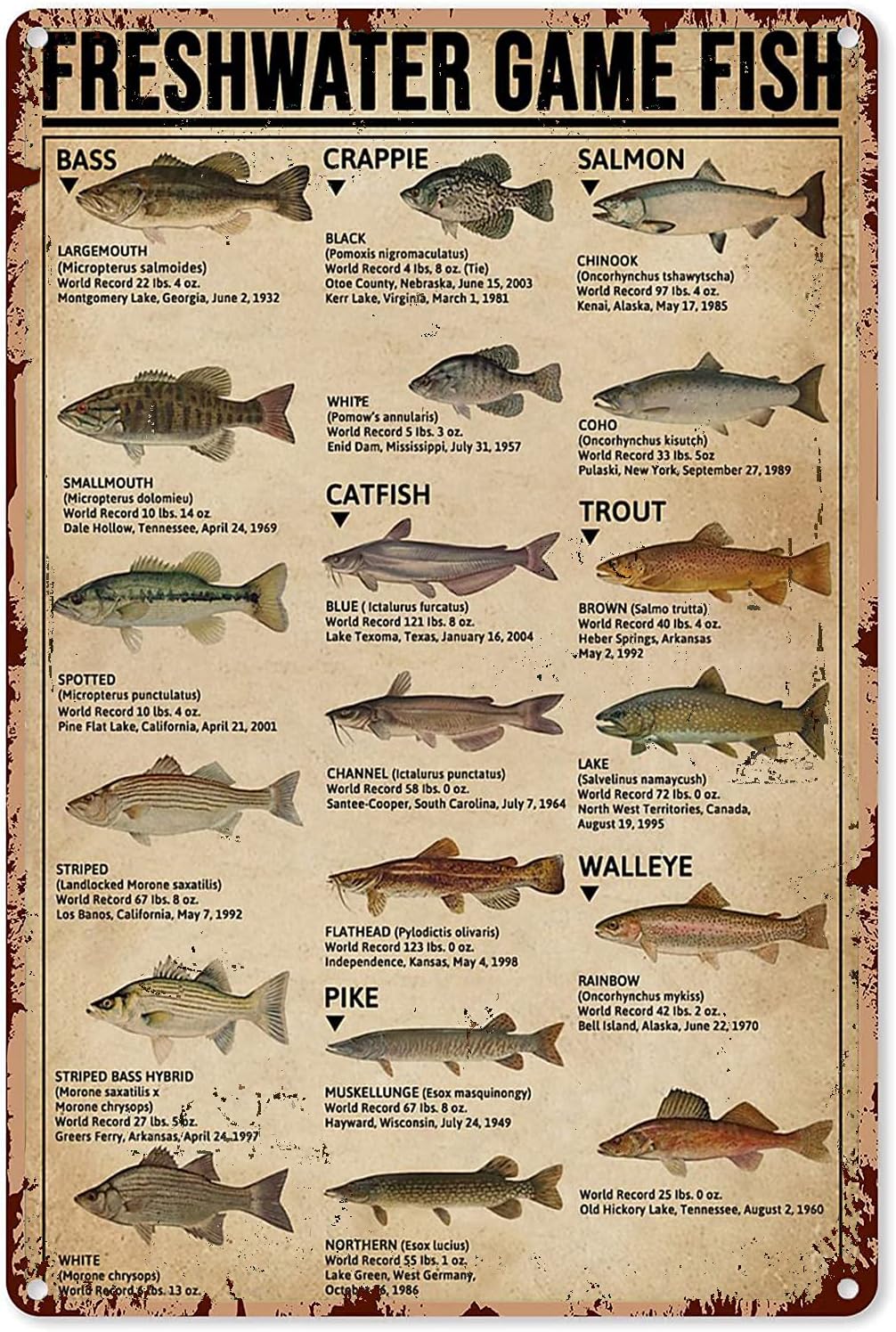 Retro Gaming Us - Y1, Pósteres de pesca, Letrero metálico,